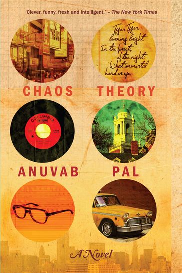 The Chaos Theory - Anuvab Pal