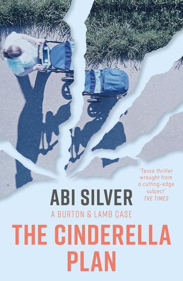 The Cinderella Plan - Abi Silver