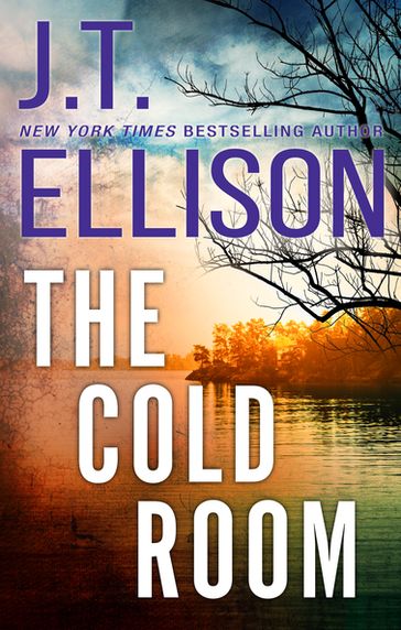 The Cold Room - J.T. Ellison