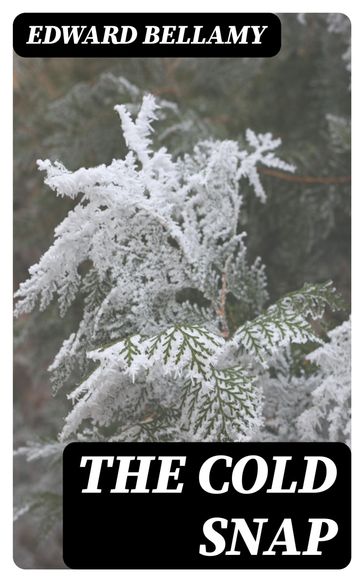 The Cold Snap - Edward Bellamy