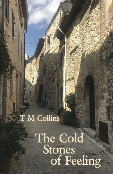 The Cold Stones of Feeling - T M Collins