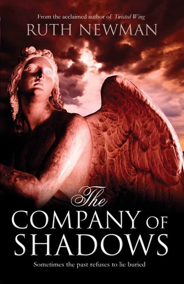 The Company of Shadows - Ruth Newman
