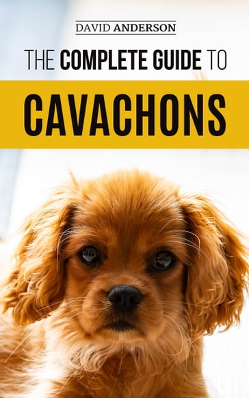 The Complete Guide to Cavachons - David Anderson