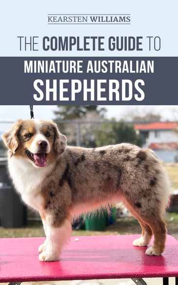 The Complete Guide to Miniature Australian Shepherds - Kearsten Williams