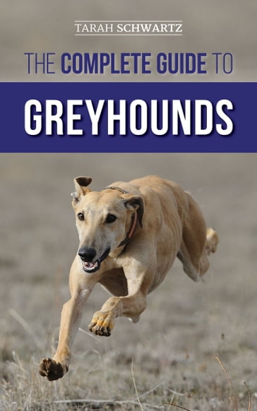 The Complete Guide to Greyhounds - Tarah Schwartz