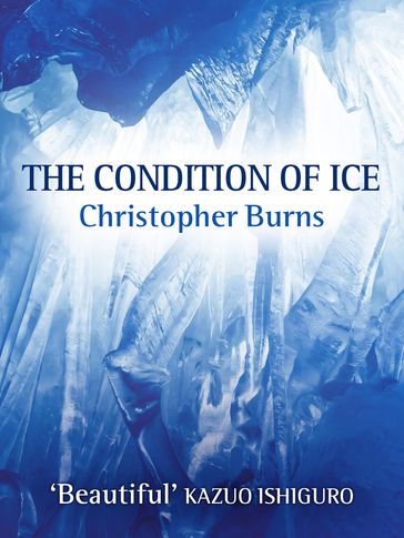 The Condition of Ice - Christopher Burns