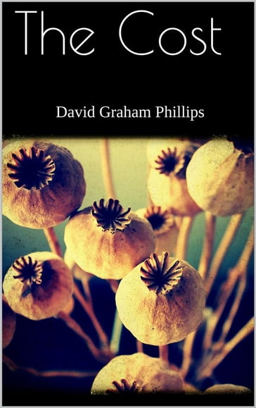 The Cost - David Graham Phillips
