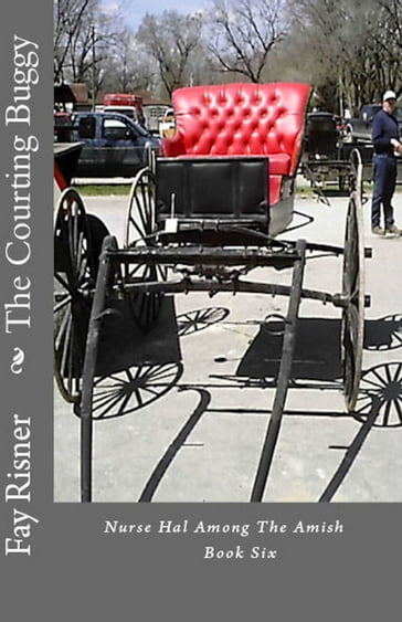 The Courting Buggy: Nurse Hal Among The Amish - Fay Risner