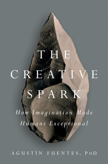 The Creative Spark - Agustín Fuentes