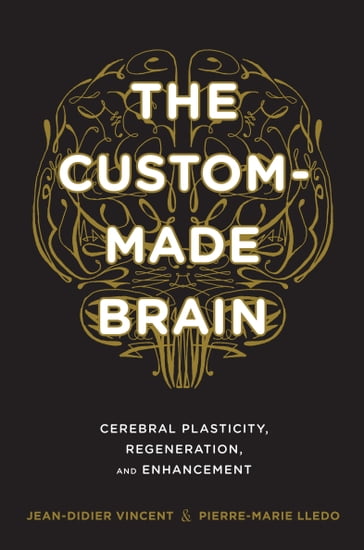 The Custom-Made Brain - Jean-Didier Vincent - Pierre-Marie Lledo