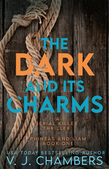 The Dark and Its Charms - V. J. Chambers