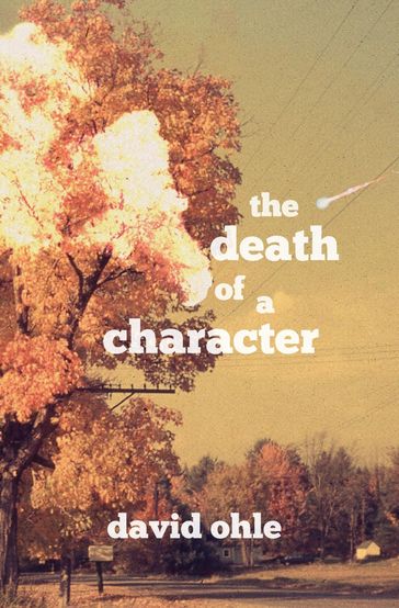 The Death of a Character - David Ohle
