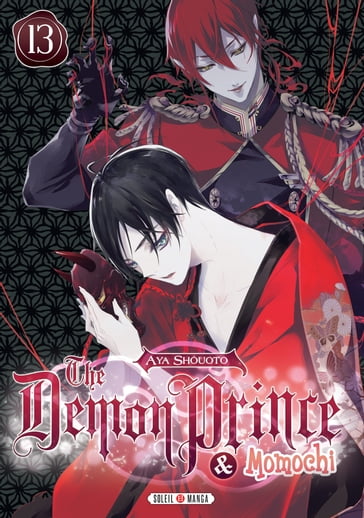 The Demon Prince and Momochi T13 - Shouoto Aya