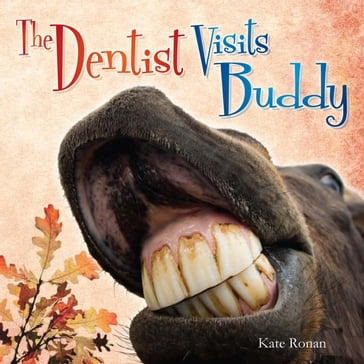 The Dentist Visits Buddy - Kate Ronan