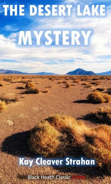 The Desert Lake Mystery - Kay Cleaver Strahan