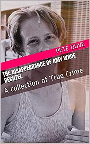 The Disappearance of Amy Wroe Bechtel - Pete Dove