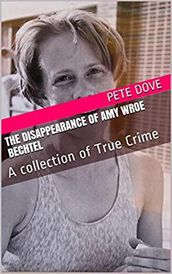 The Disappearance of Amy Wroe Bechtel