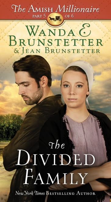 The Divided Family - Jean Brunstetter - Wanda E. Brunstetter
