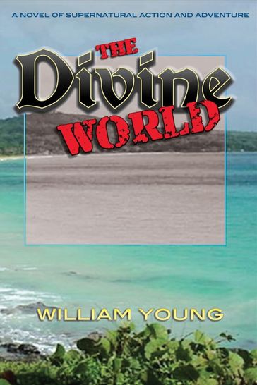 The Divine World - William Young