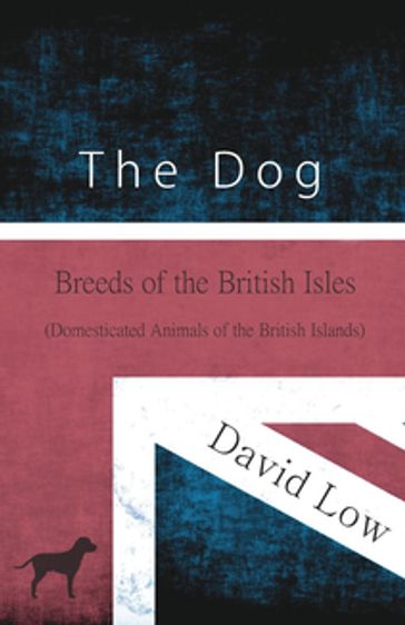 The Dog - Breeds of the British Isles (Domesticated Animals of the British Islands) - David Low