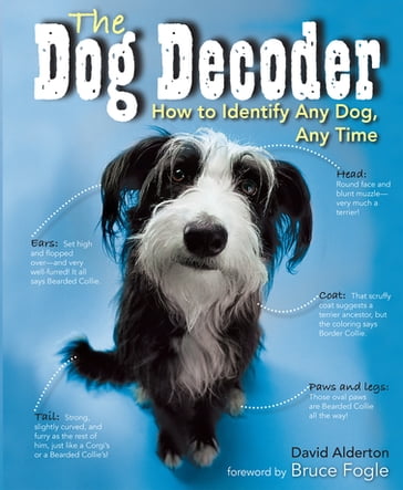 The Dog Decoder - David Alderton