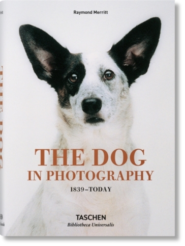 The Dog in Photography 1839¿Today - Raymond Merritt