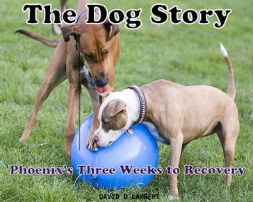 The Dog Story - David Lambert