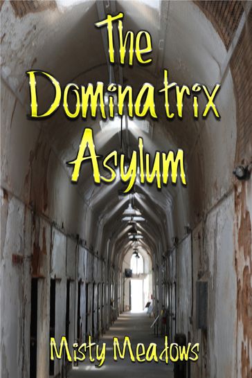 The Dominatrix Asylum (Female Domination, BDSM) - Misty Meadows