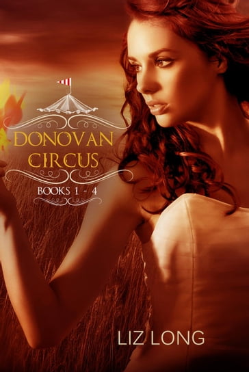 The Donovan Circus Series Boxed Set (Books 1-5) - Liz Long