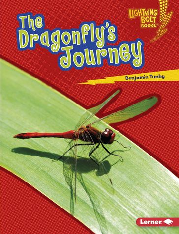 The Dragonfly's Journey - Benjamin Tunby