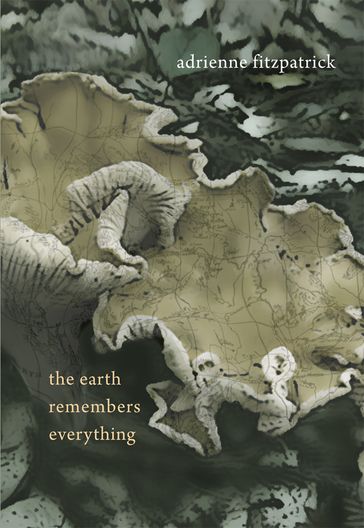 The Earth Remembers Everything - Adrienne Fitzpatrick