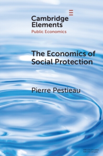 The Economics of Social Protection - Pierre Pestieau