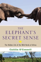 The Elephant s Secret Sense