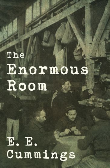 The Enormous Room - e. e. cummings