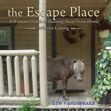 The Escape Place - Lyn Vandebrake