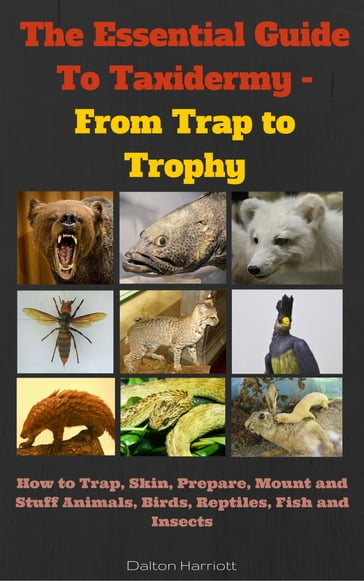 The Essential Guide to Taxidermy - From Trap to Trophy - Dalton Harriott