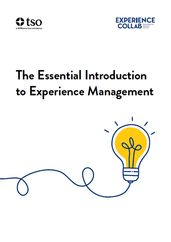 The Essential Introduction to Experience Management