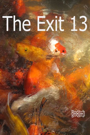 The Exit 13 - Roditch