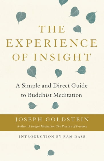 The Experience of Insight - Joseph Goldstein