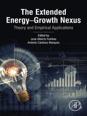 The Extended EnergyGrowth Nexus