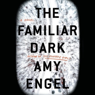 The Familiar Dark - Amy Engel