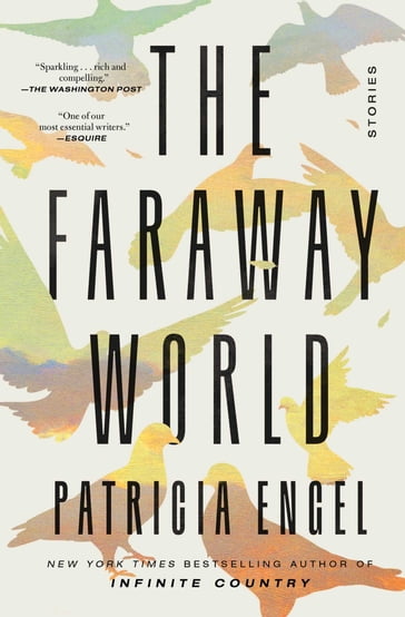 The Faraway World - Patricia Engel