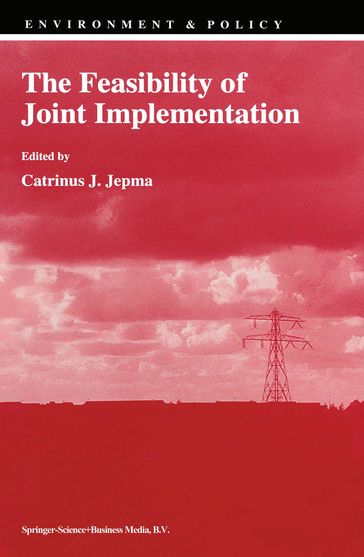 The Feasibility of Joint Implementation