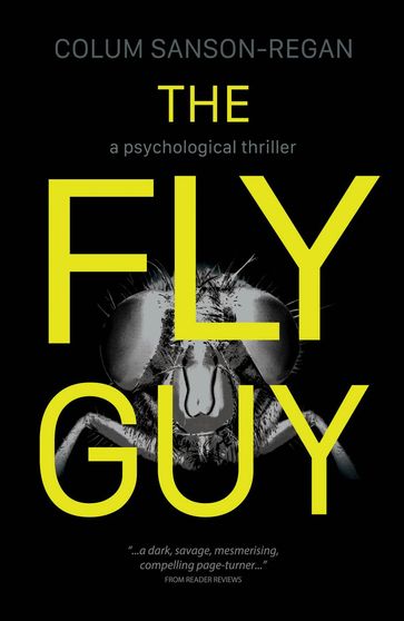The Fly Guy - Colum Sanson-Regan