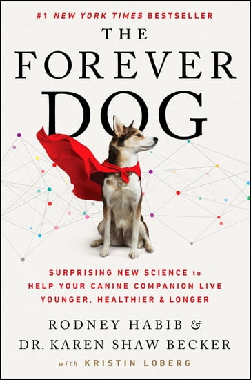 The Forever Dog - Rodney Habib - Karen Shaw Becker