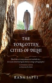 The Forgotten Cities of Delhi