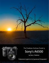 The Friedman Archives Guide to Sony s A6500 - Professional Insights for the Experienced Photographer