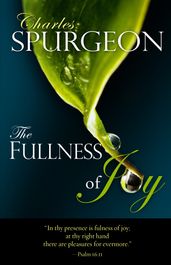 The Fullness of Joy