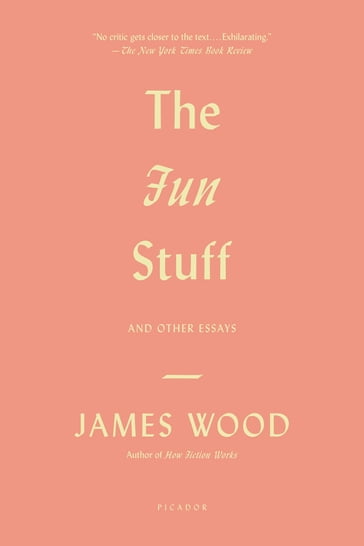 The Fun Stuff - James Wood