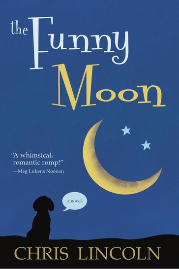 The Funny Moon: A Novel - Chris Lincoln